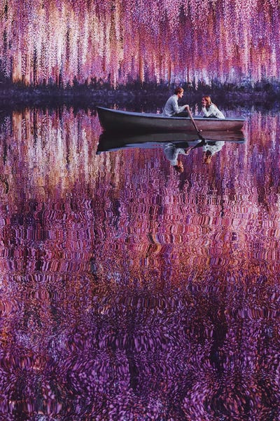 Wisterias: Wisteria Impessionism by Hobopeeba