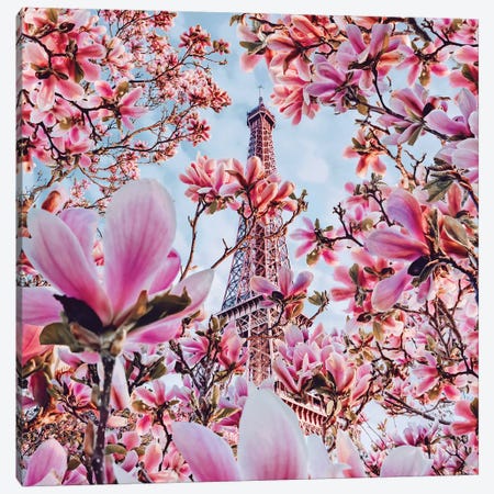 Magnolia Blossom In Paris Canvas Print #MKV164} by Hobopeeba Canvas Art Print