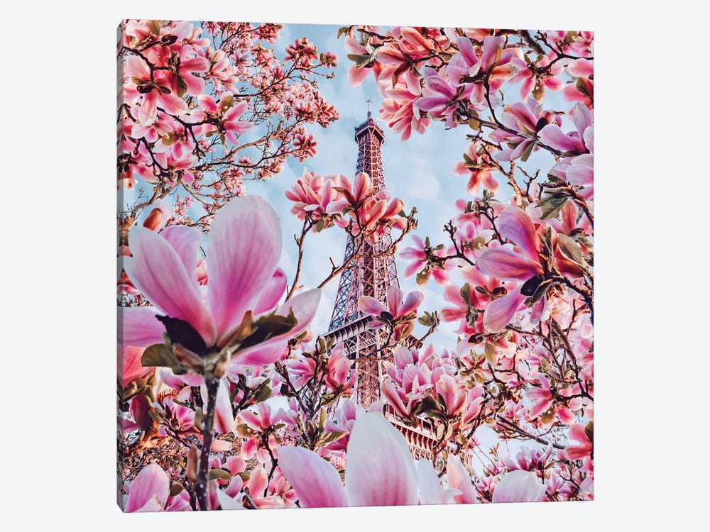 Magnolia Blossom In Paris by Hobopeeba 1-piece Art Print