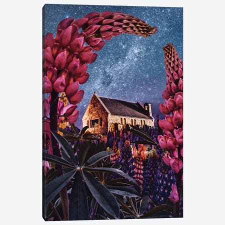 Night Lupins At Lake Tekapo I Canvas Print #MKV165} by Hobopeeba Canvas Print