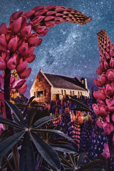 Night Lupins At Lake Tekapo I