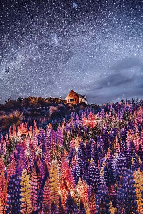 Night Lupins At Lake Tekapo III by Hobopeeba wall art