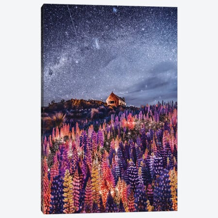 Night Lupins At Lake Tekapo III Canvas Print #MKV166} by Hobopeeba Canvas Print