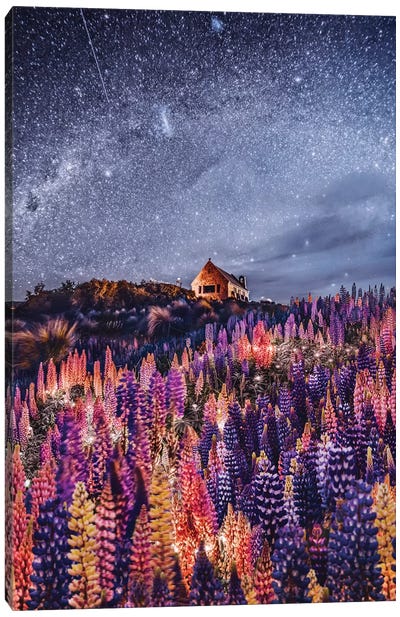 Night Lupins At Lake Tekapo III Canvas Art Print - Virtual Escapism