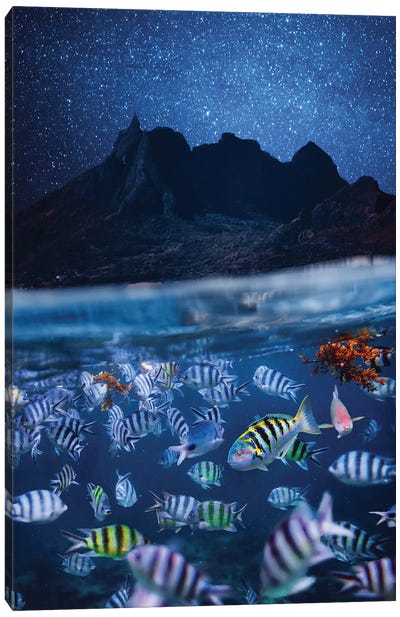 The Night Mauritius Canvas Art Print - Hobopeeba