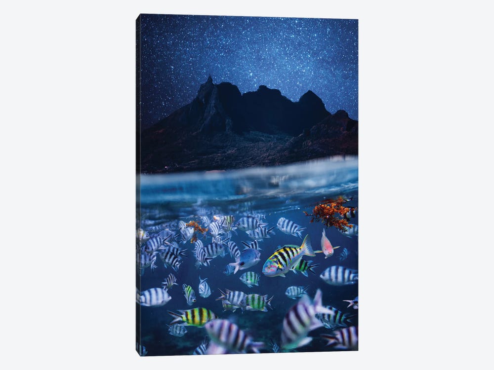 The Night Mauritius by Hobopeeba 1-piece Canvas Art