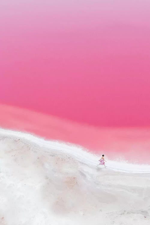 The Pink Mood In Hutt Lagoon I