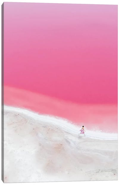 The Pink Mood In Hutt Lagoon I Canvas Art Print - Hobopeeba