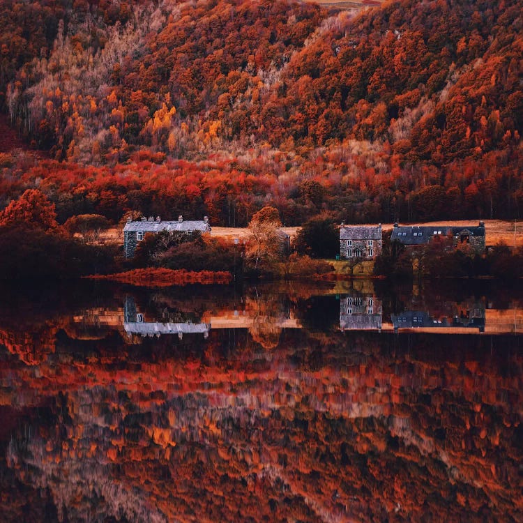 Autumn In Lake District National Park