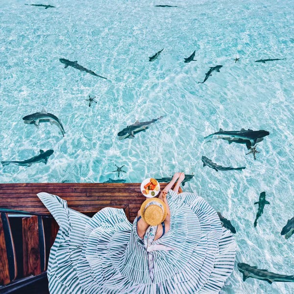 Hobopeeba: Breakfast With Sharks by Hobopeeba