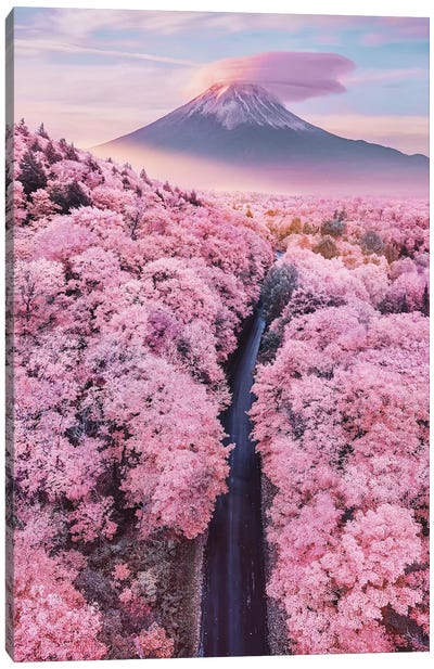 About Pink Endless Canvas Art Print - Cherry Blossom Art