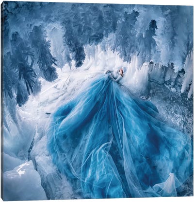 Ice Cave With Shaggy Icicles Canvas Art Print - Glacier & Iceberg Art