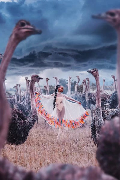 Kenyan Beauty Walks Among Ostriches by Hobopeeba framed canvas print