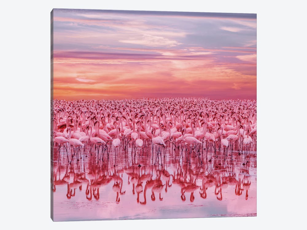 Flamingo’s Sunset by Hobopeeba 1-piece Art Print