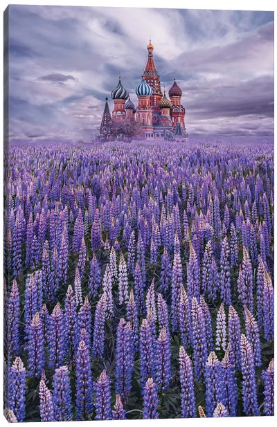 Lupine Field On Red Square Canvas Art Print