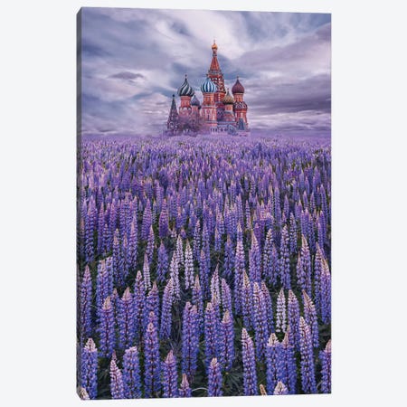 Lupine Field On Red Square Canvas Print #MKV187} by Hobopeeba Canvas Art Print