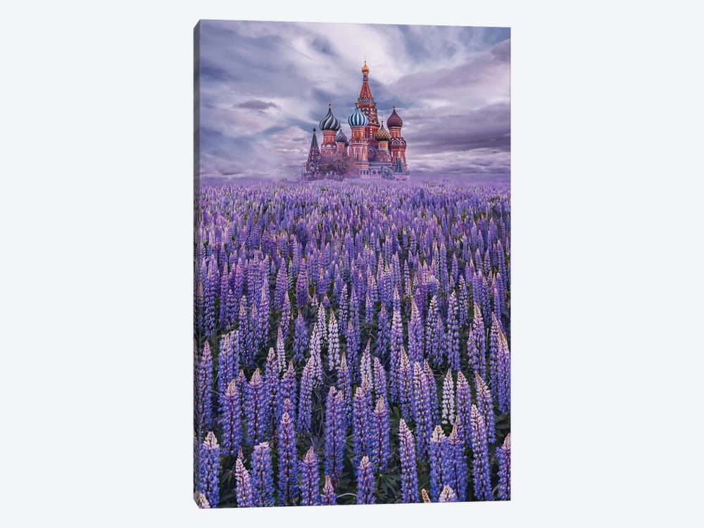 Lupine Field On Red Square by Hobopeeba 1-piece Canvas Artwork