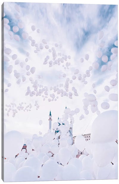 Bubble Mosque Canvas Art Print - Monochromatic Photography
