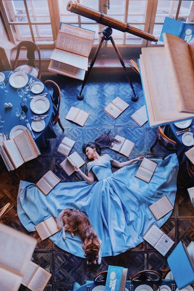 Interiors: Book Fairies by Hobopeeba