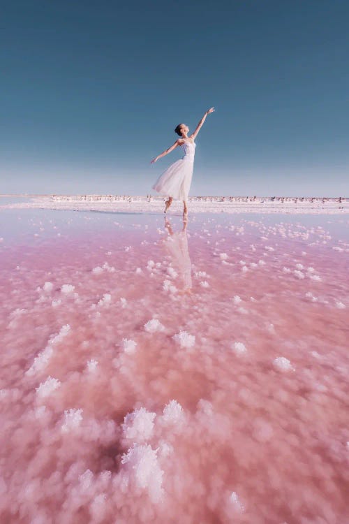 Pink Ballerina by Hobopeeba wall art
