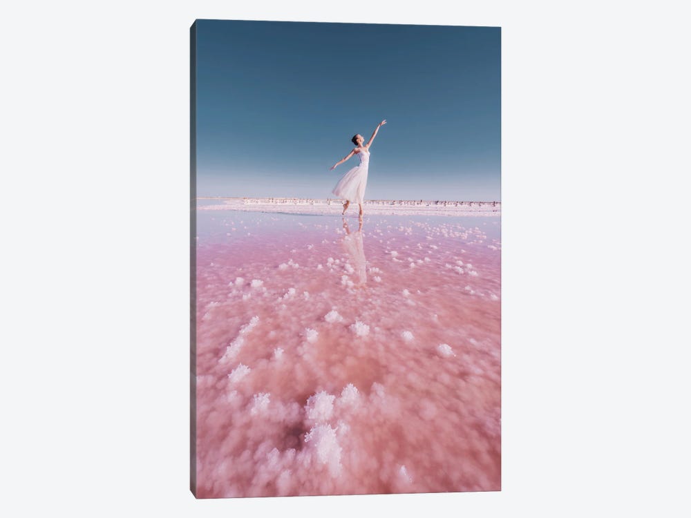 Pink Ballerina by Hobopeeba 1-piece Canvas Print