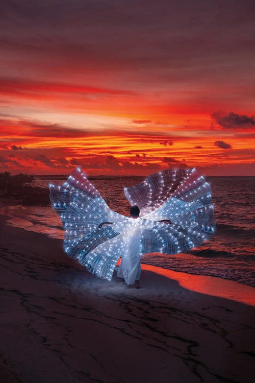 Glow Butterfly At Maldivian Sunset