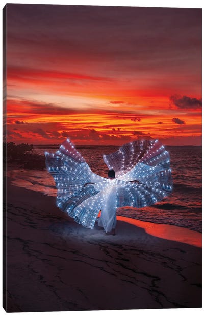 Glow Butterfly At Maldivian Sunset Canvas Art Print - Hobopeeba