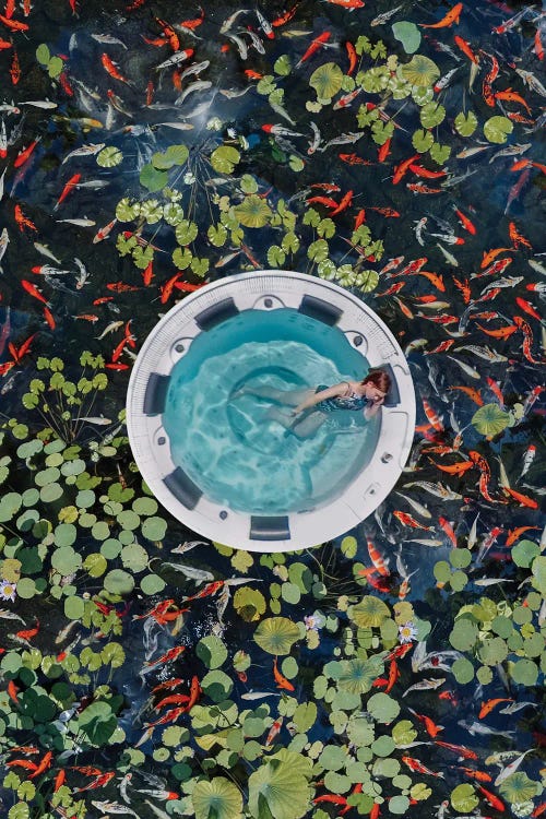 Jacuzzi With Kois by Hobopeeba wall art