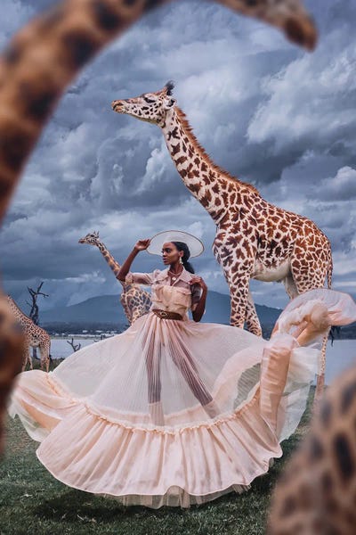 Safari Girl by Hobopeeba acrylic art print