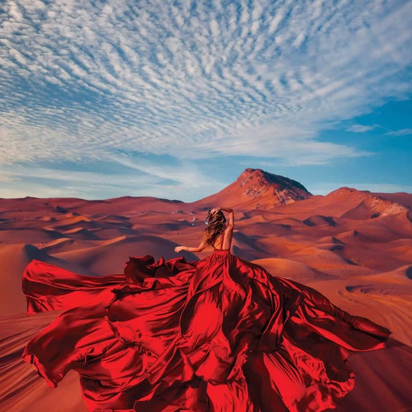 Wide Open Spaces: Bud Of The Desert by Hobopeeba