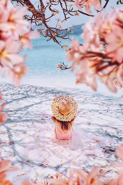 Blossoms: A First-Class Inspiration by Hobopeeba