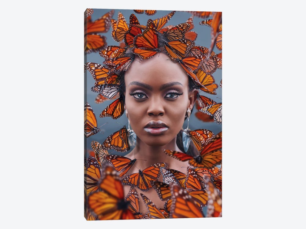 Butterfly Paradise In Mexico by Hobopeeba 1-piece Canvas Art