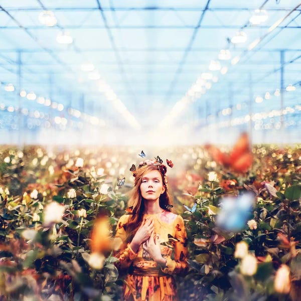 Hobopeeba: Butterfly Mood by Hobopeeba