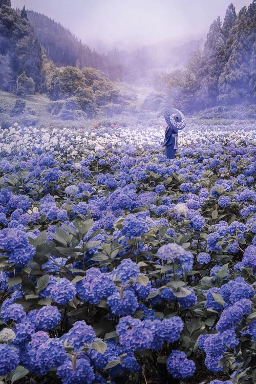 Japanese Anime Flower Landscape