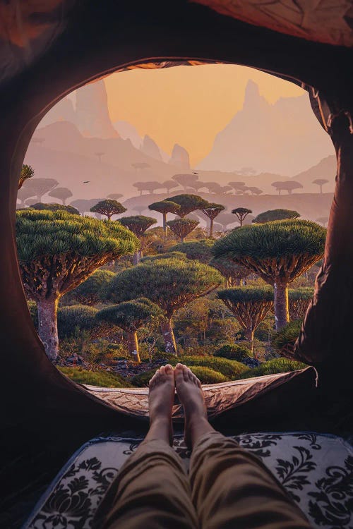 Priceless Morning View by Hobopeeba wall art