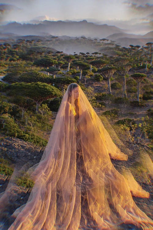 Mother Of Dragons by Hobopeeba wall art