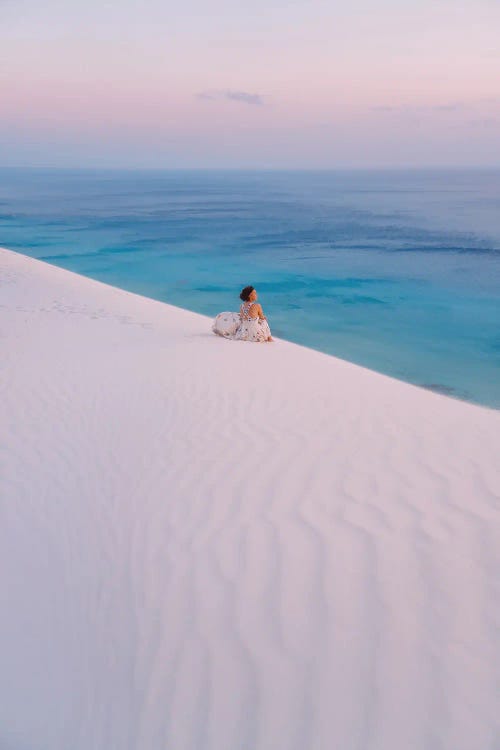 The Dunes Of Magic Socotra Island (Side View Mood) by Hobopeeba wall art