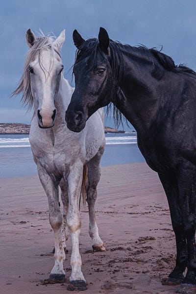 Hobopeeba: Moroccan Lovers II by Hobopeeba