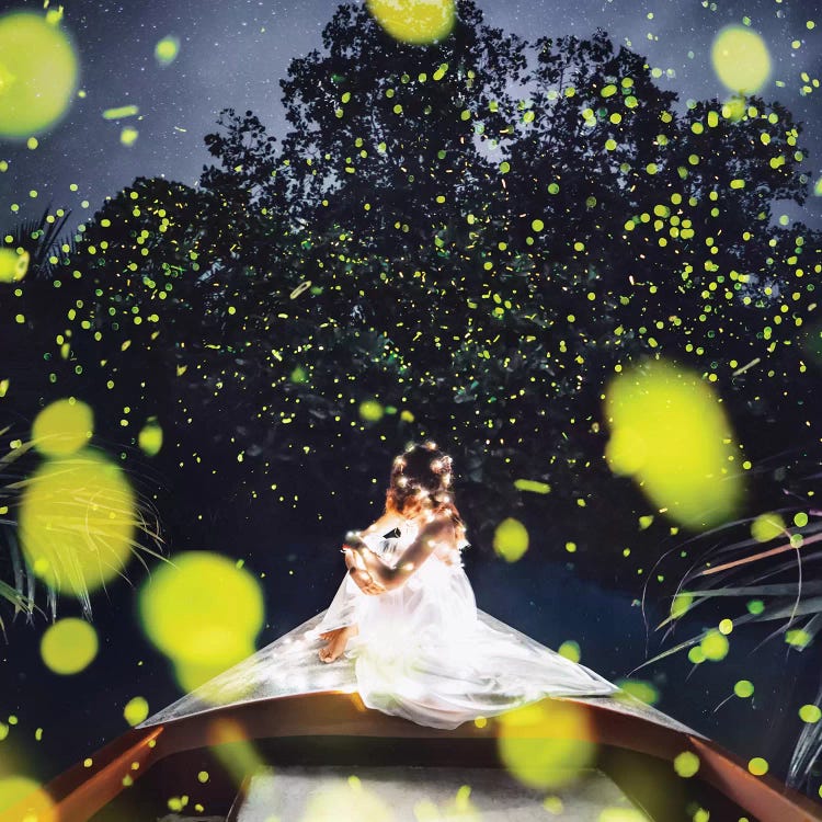 Fireflies In Bohol by Hobopeeba wall art