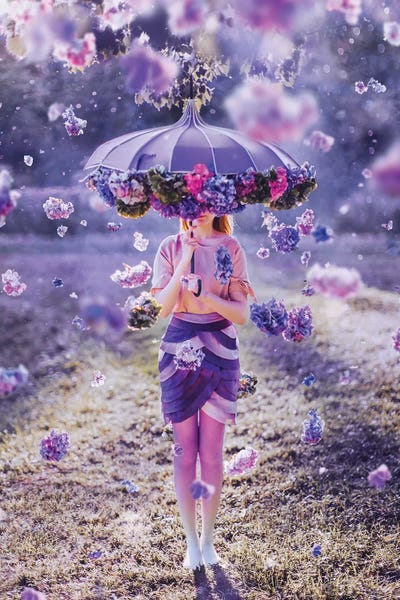 Umbrellas: Flower’s Rain by Hobopeeba