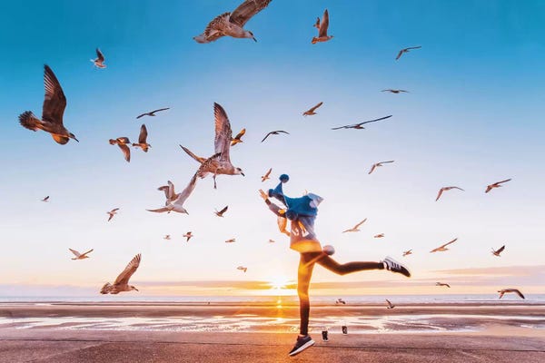 Action Shots: Fly Away by Hobopeeba