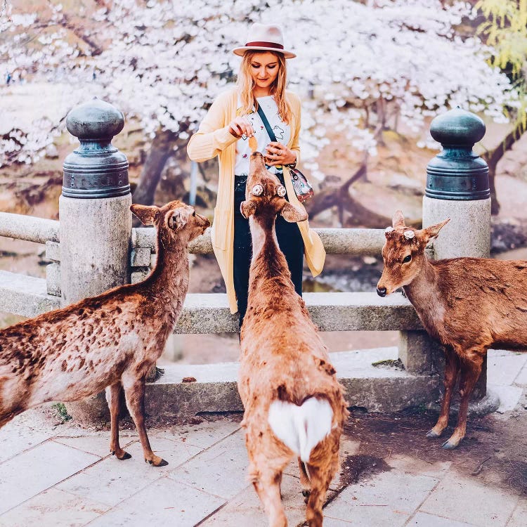 Hearts In Nara