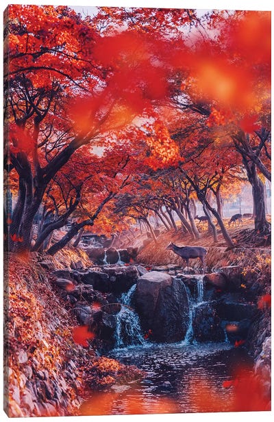 Heaven. Momiji Season Canvas Art Print - Waterfall Art