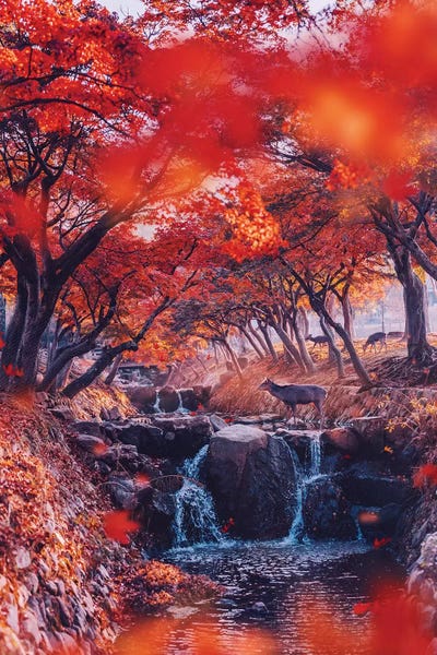 Composite Photography: Heaven. Momiji Season by Hobopeeba