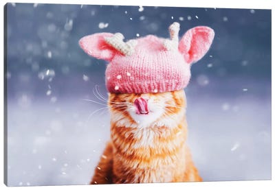 Kotleta’s Snowfall Canvas Art Print - Christmas Animal Art