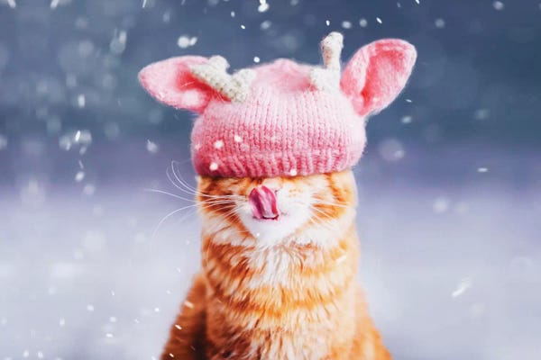 Christmas Animals: Kotleta’s Snowfall by Hobopeeba