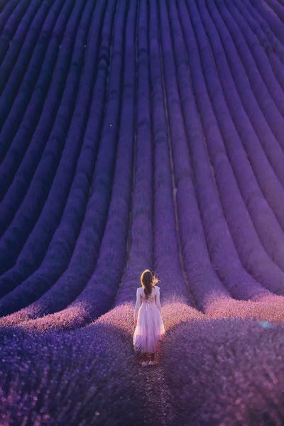 Herbs: Lavanda Inseption by Hobopeeba