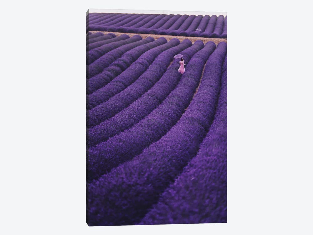 Lavender Dreams by Hobopeeba 1-piece Canvas Art