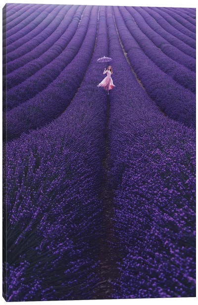 Lavender France Canvas Art Print - Indigo Art