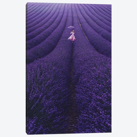 Lavender France Canvas Print #MKV51} by Hobopeeba Canvas Wall Art